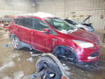Ford Escape 2014