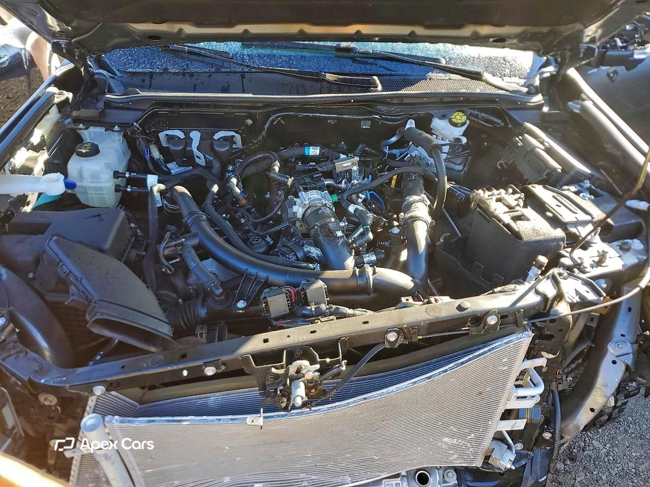 Ford Ranger 2025