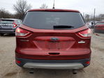 Ford Escape 2014
