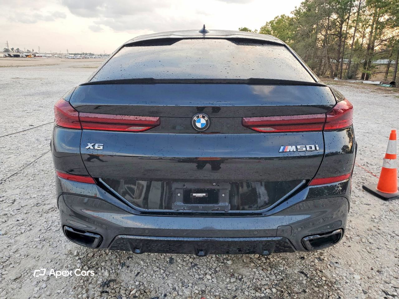 BMW X6 2022