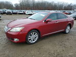 Lexus ES 2010