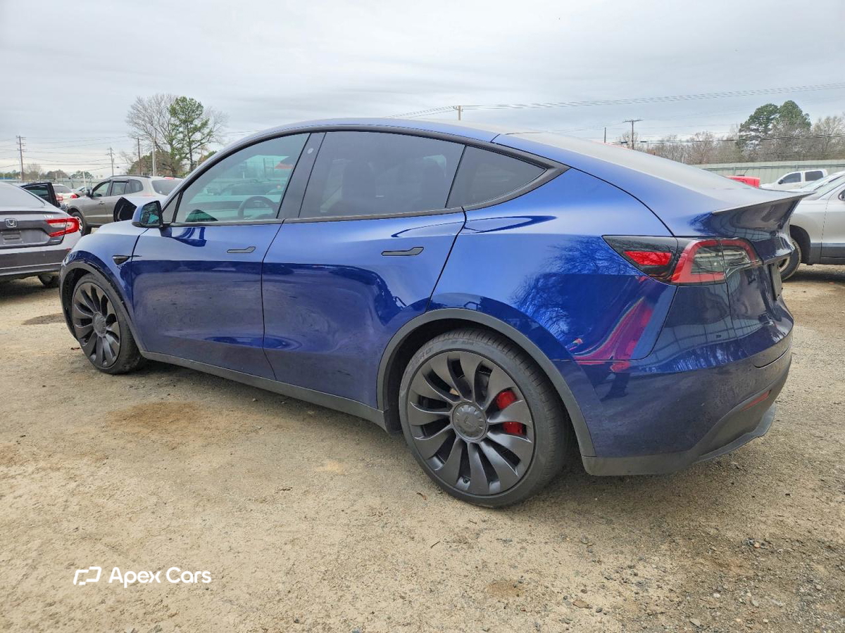 Tesla Model Y 2020