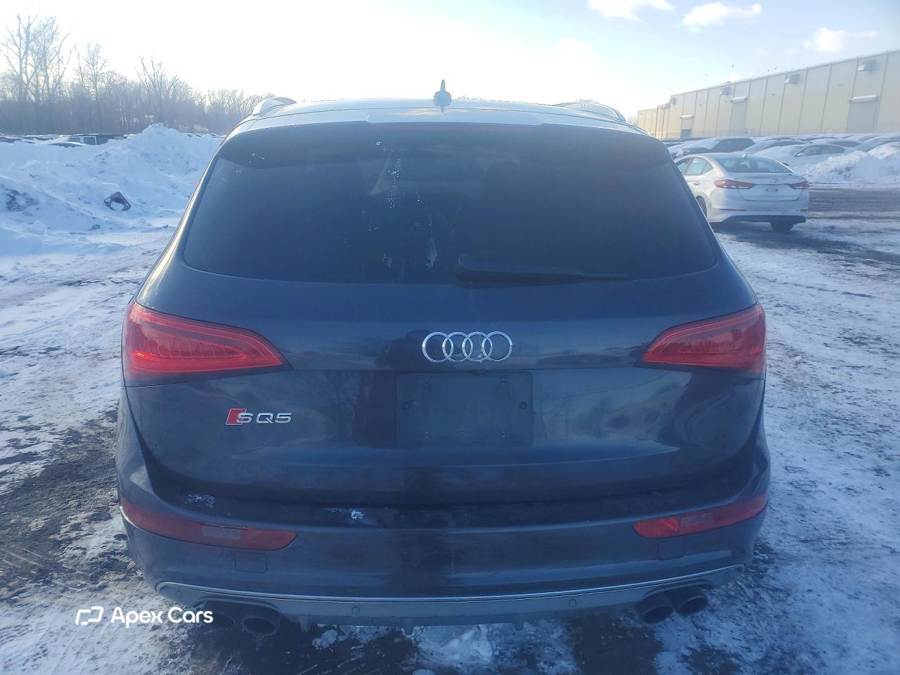 Audi SQ5 2015