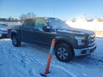 Ford F-150 2015