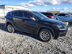 Lexus NX 2021