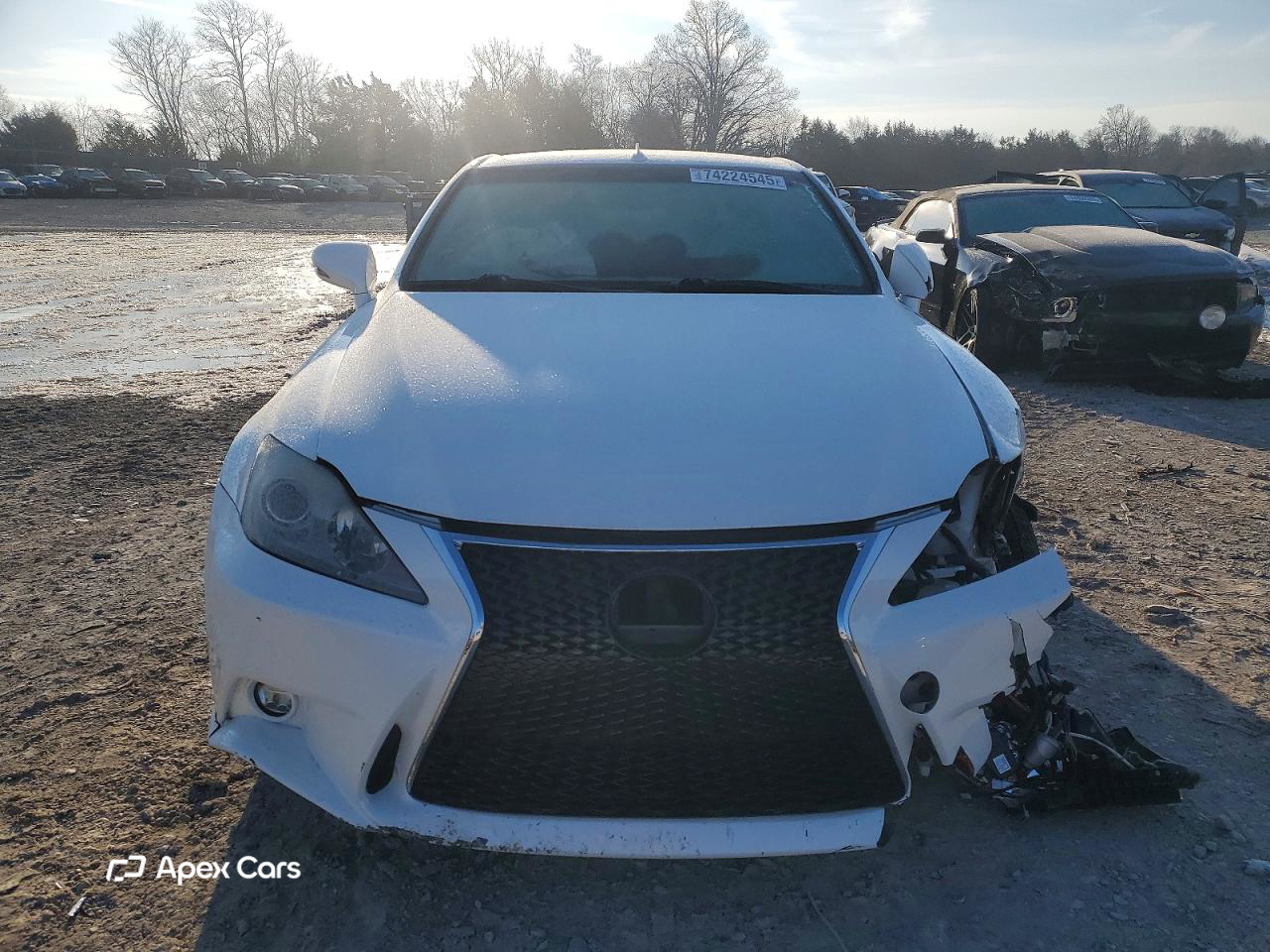 Lexus IS 2010