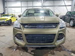 Ford Escape 2013