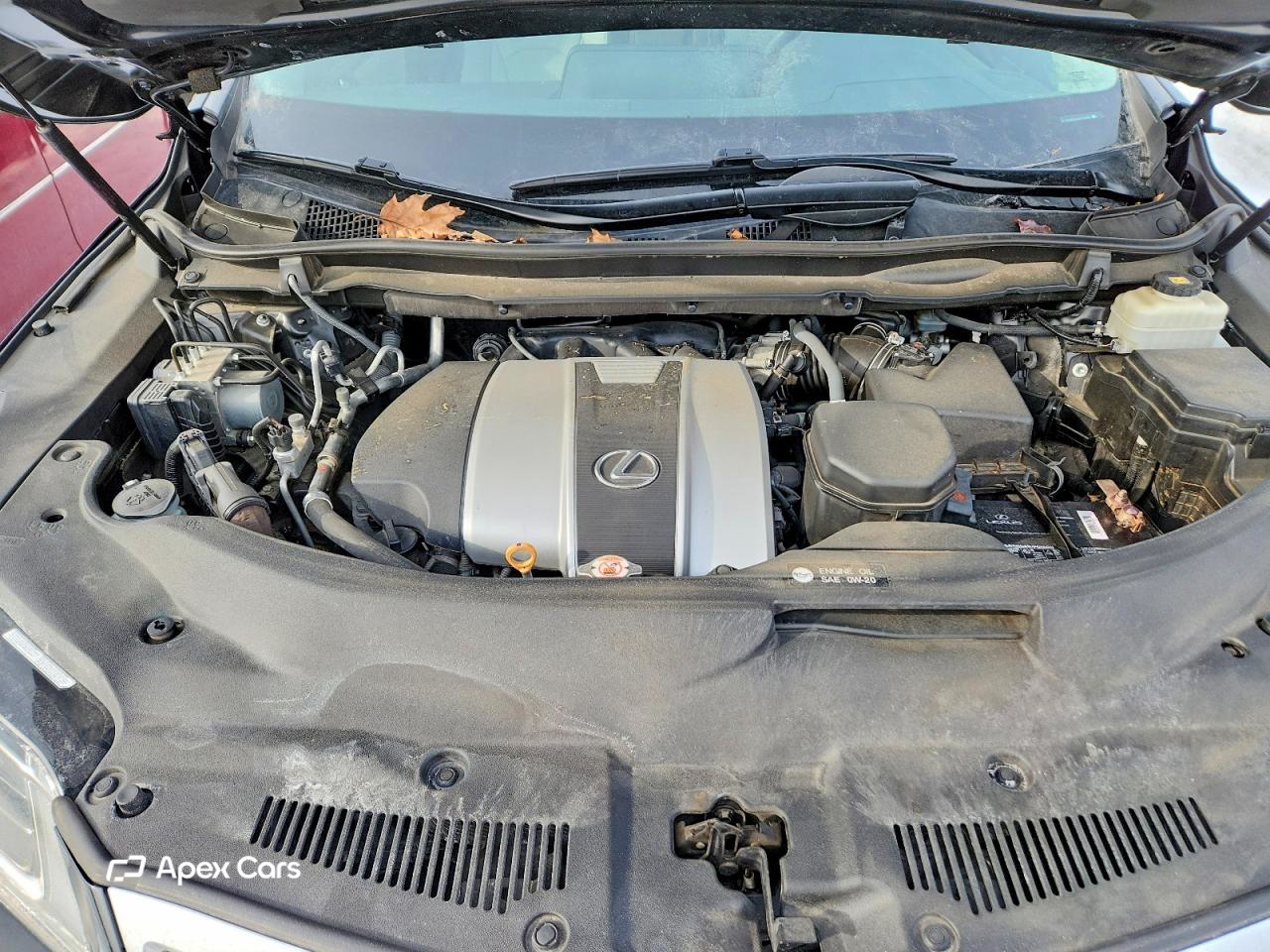 Lexus RX 2019