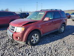 Ford Escape 2012