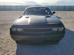 Dodge Challenger 2014