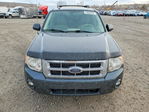 Ford Escape 2008