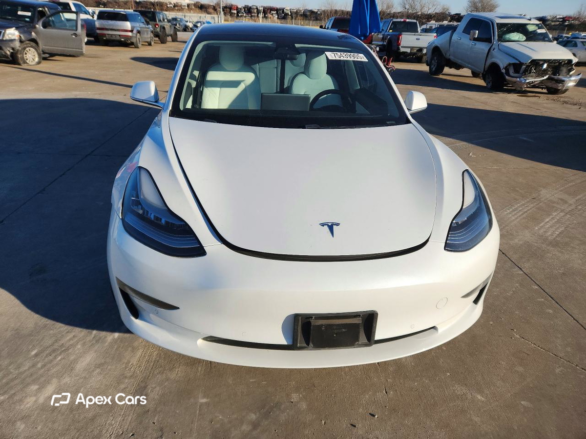 Tesla Model 3 2019