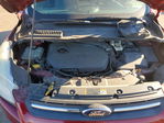 Ford Escape 2014