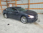 Nissan Maxima 2013