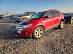 Ford Edge 2013
