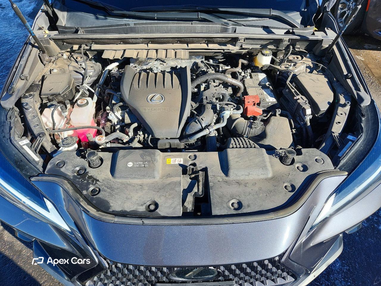 Lexus NX 2023