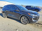 Ford Escape 2022