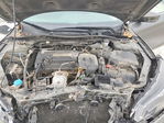 Honda Accord 2013