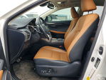 Lexus NX 2020