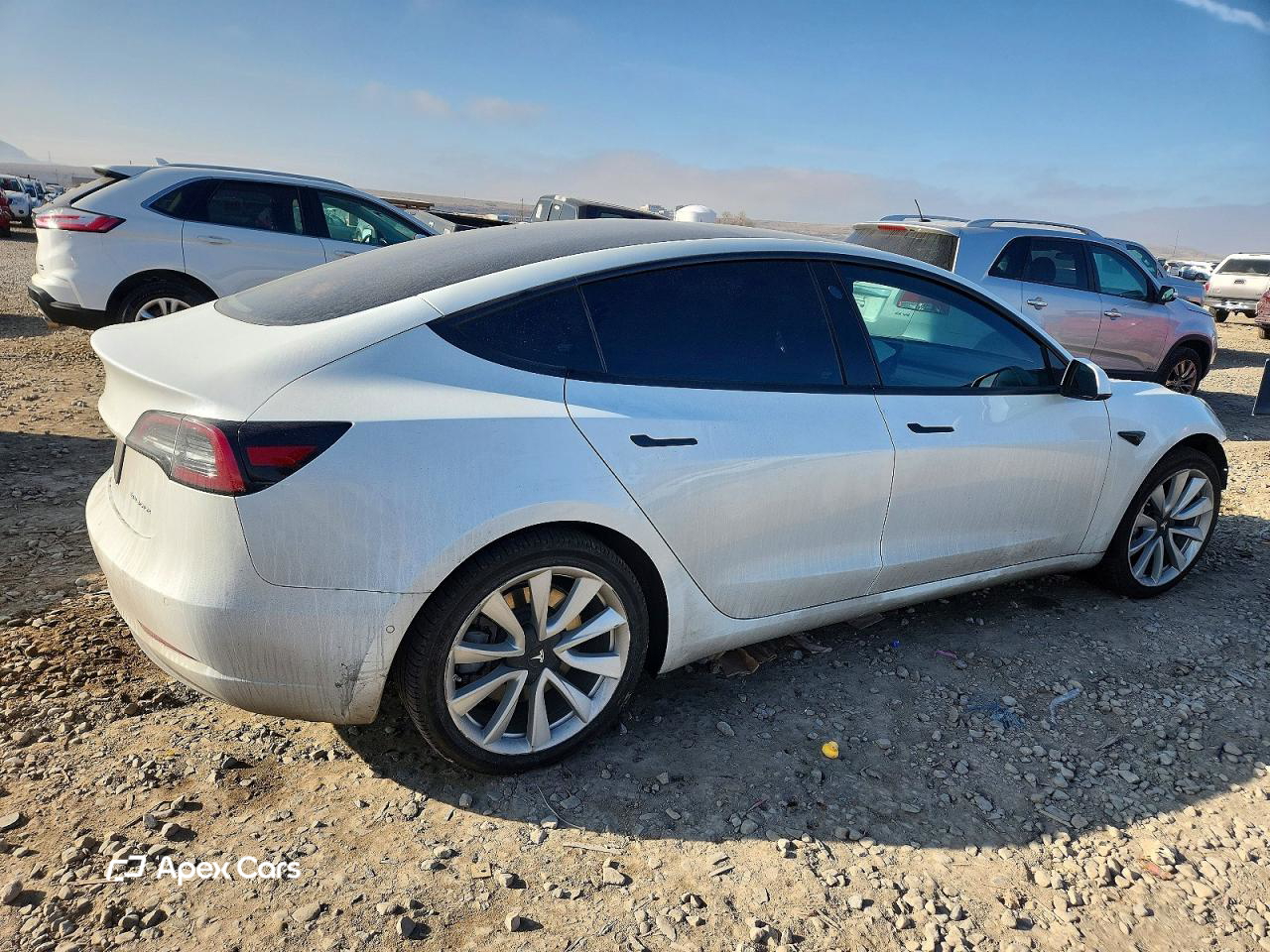 Tesla Model 3 2019