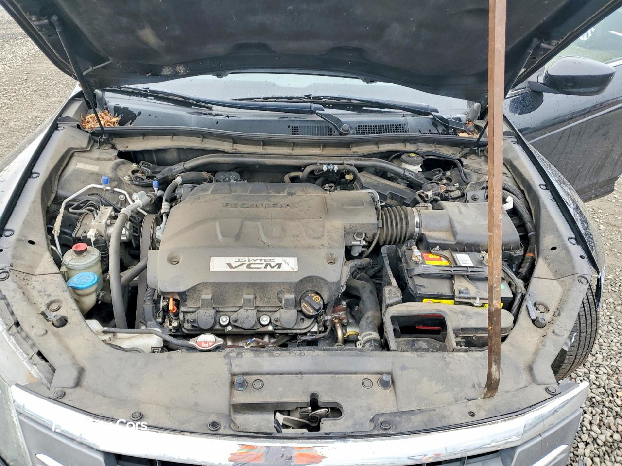 Honda Crosstour 2012