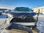Toyota RAV 4 2023