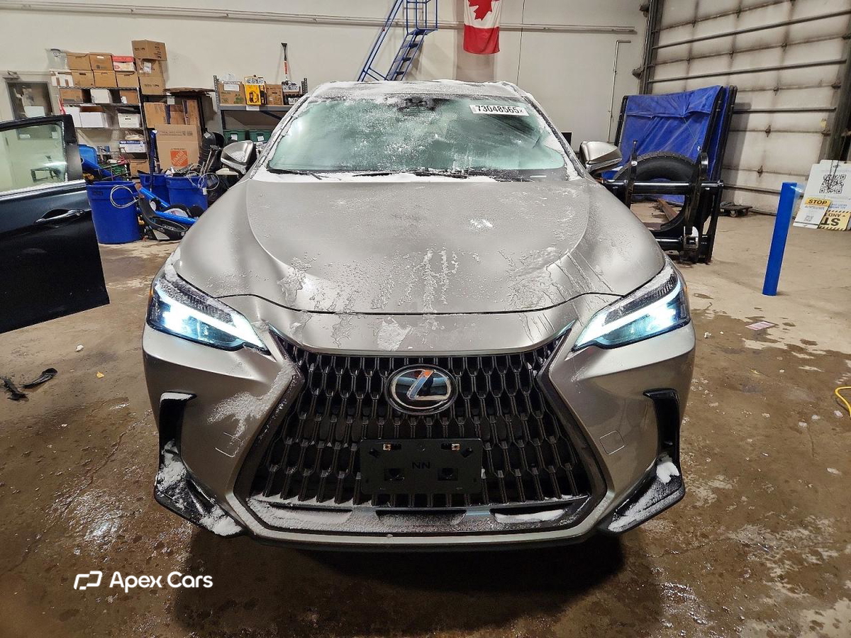 Lexus NX 2022