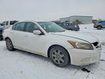 Honda Accord 2011
