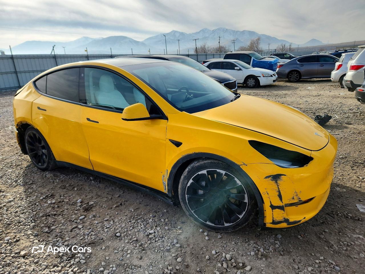 Tesla Model Y 2021