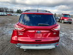 Ford Escape 2015