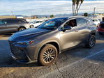 Lexus NX 2023