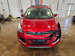Ford Escape 2013