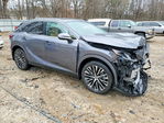 Lexus RX 2023