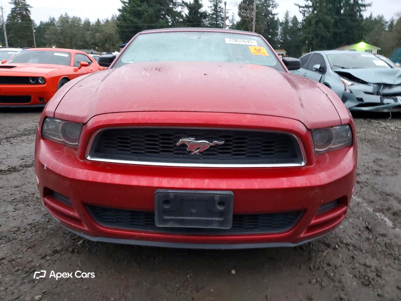 Ford Mustang 2013
