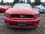 Ford Mustang 2013