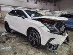 Lexus NX 2020
