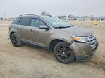 Ford Edge 2013