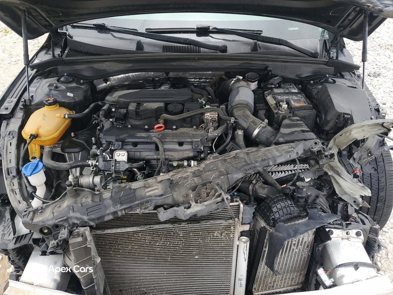 Kia K5 2024