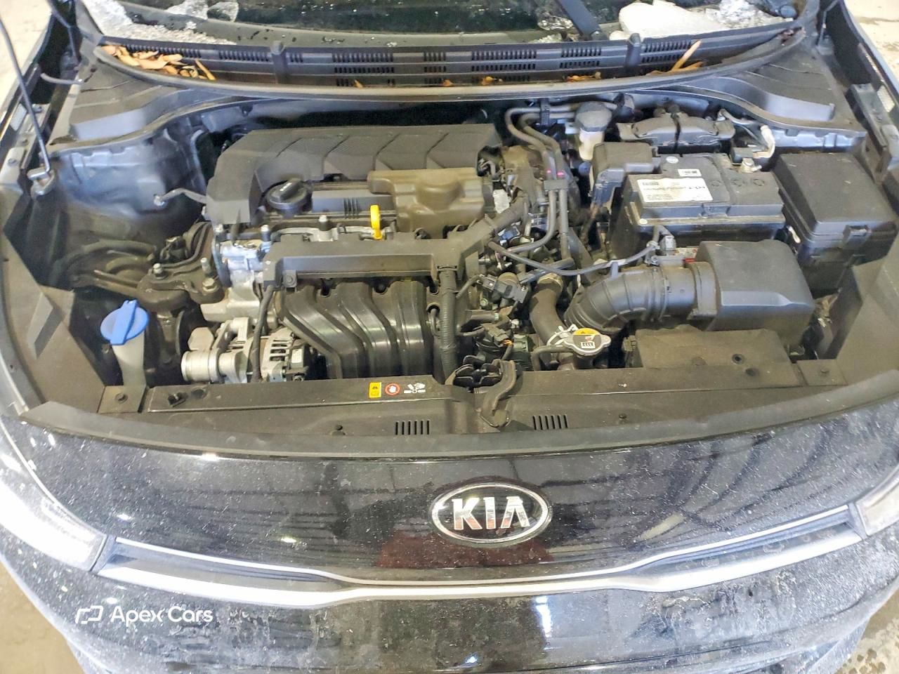 Kia Rio 2021
