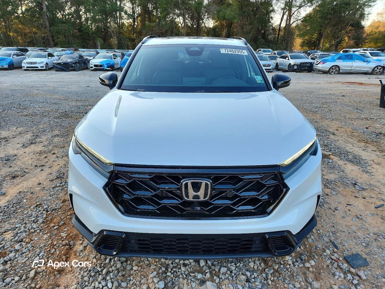 Honda CR-V 2026