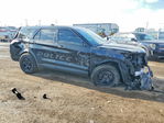 Ford Explorer 2024
