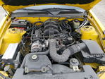 Ford Mustang 2006