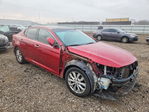 Kia Optima 2014
