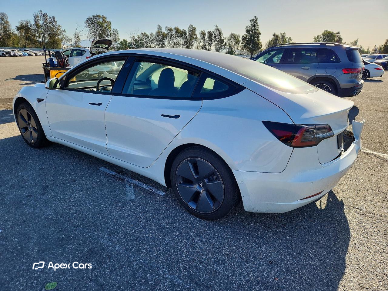 Tesla Model 3 2022