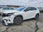 Lexus NX 2021
