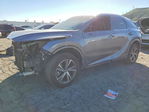 Lexus RX 2023