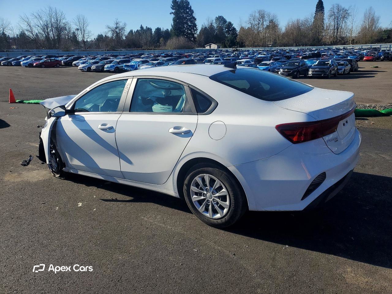 Kia Forte 2024