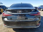 Lexus ES 2025