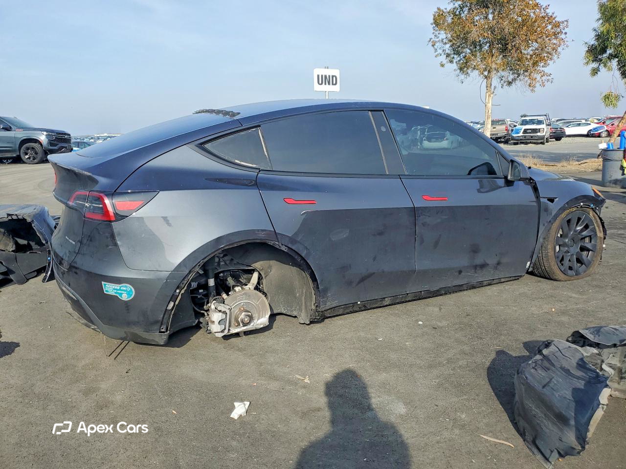 Tesla Model Y 2025