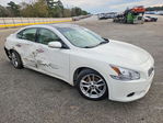 Maxima 2010